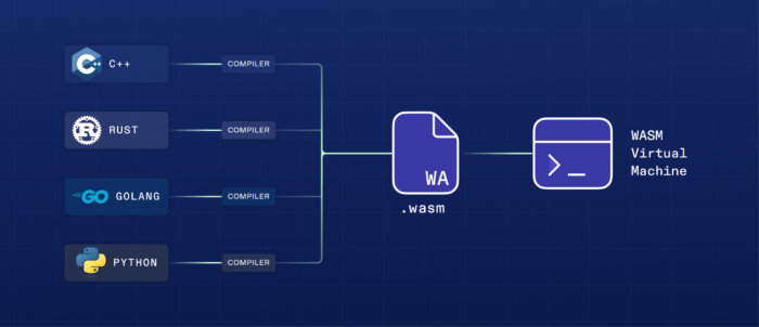 WASM supports C, C++, C#, Assembly Script, RUST, preventing developers from learning single-use case languages like Solidity.